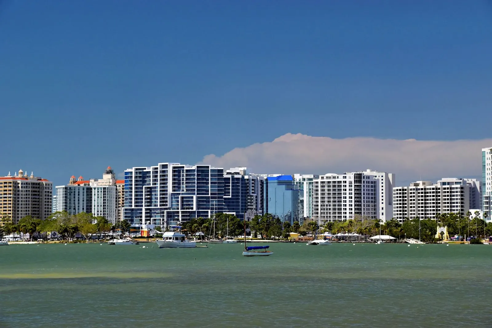Sarasota bayfront