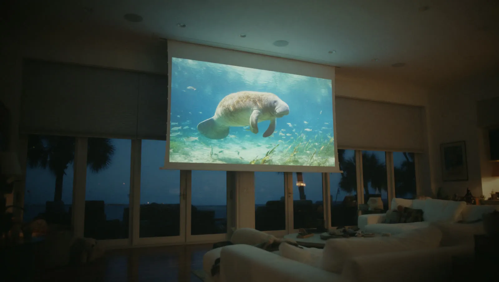 Living-room theater